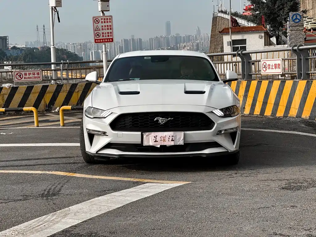 Ford Mustang — миниатюра 2