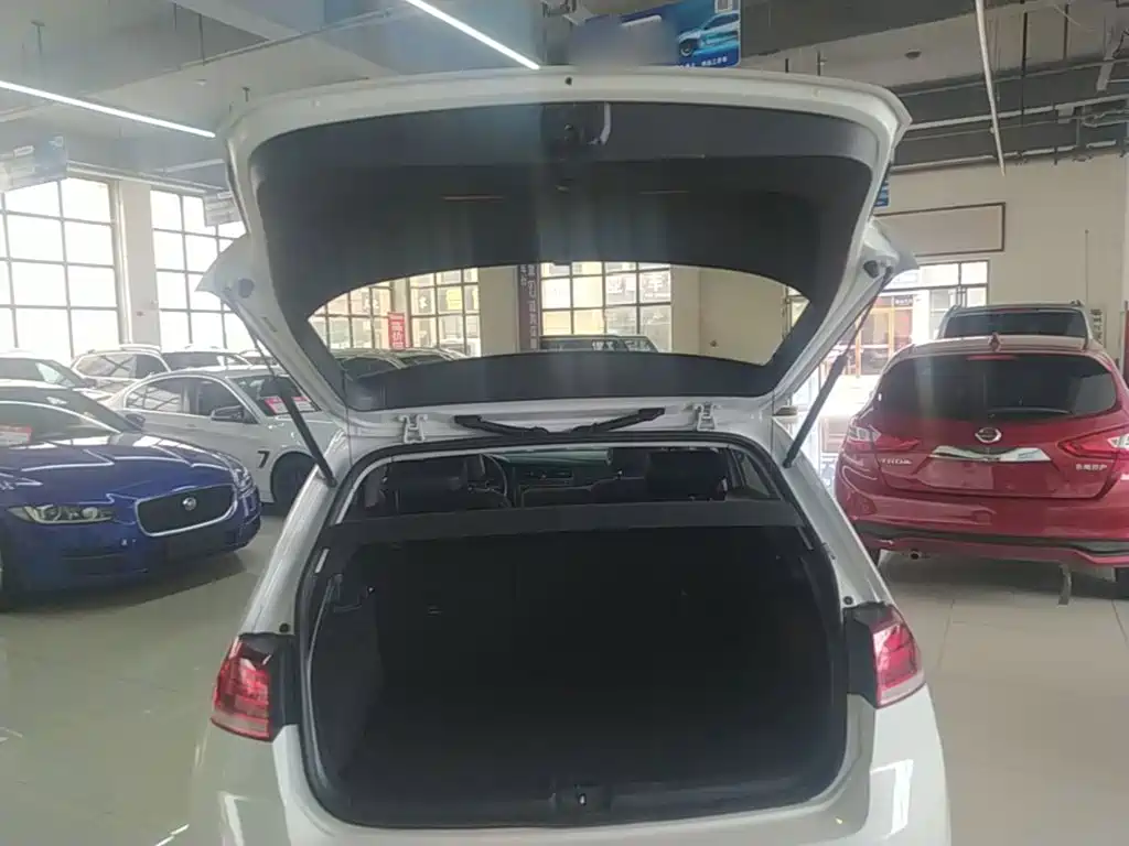 Volkswagen Golf — миниатюра 19