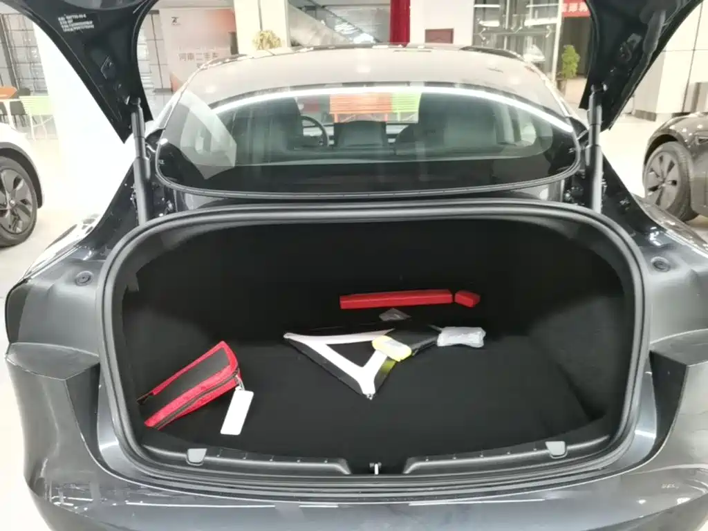 Tesla Model 3 — миниатюра 19