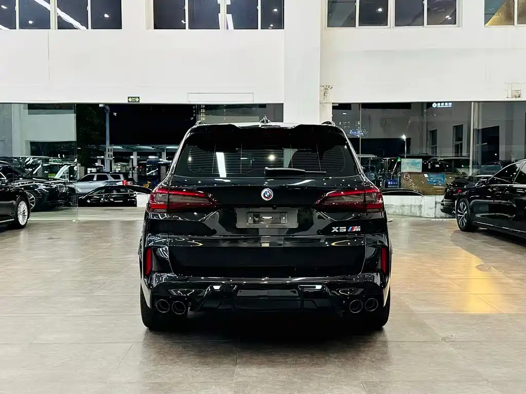 BMW X5 M — миниатюра 5