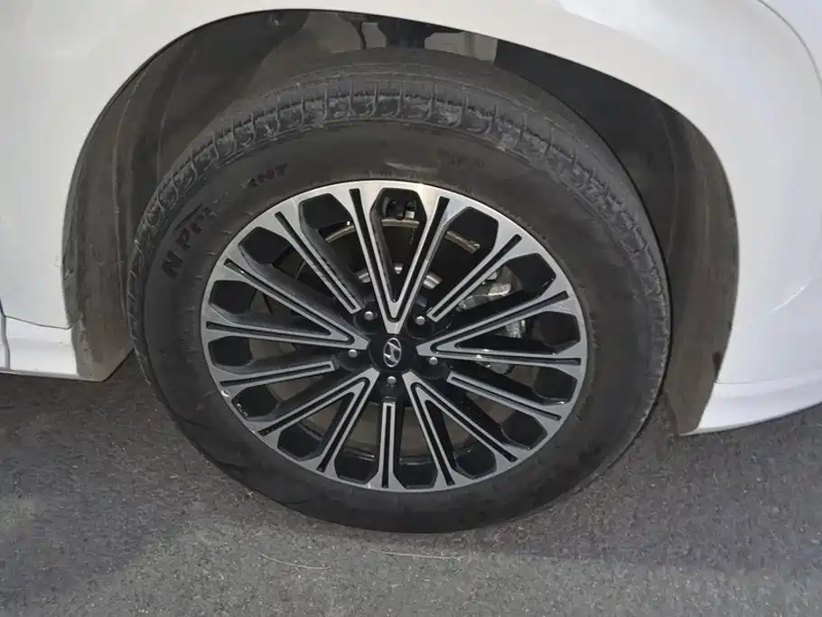 Hyundai Custo — миниатюра 6