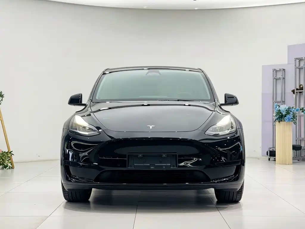 Tesla Model Y — миниатюра 2