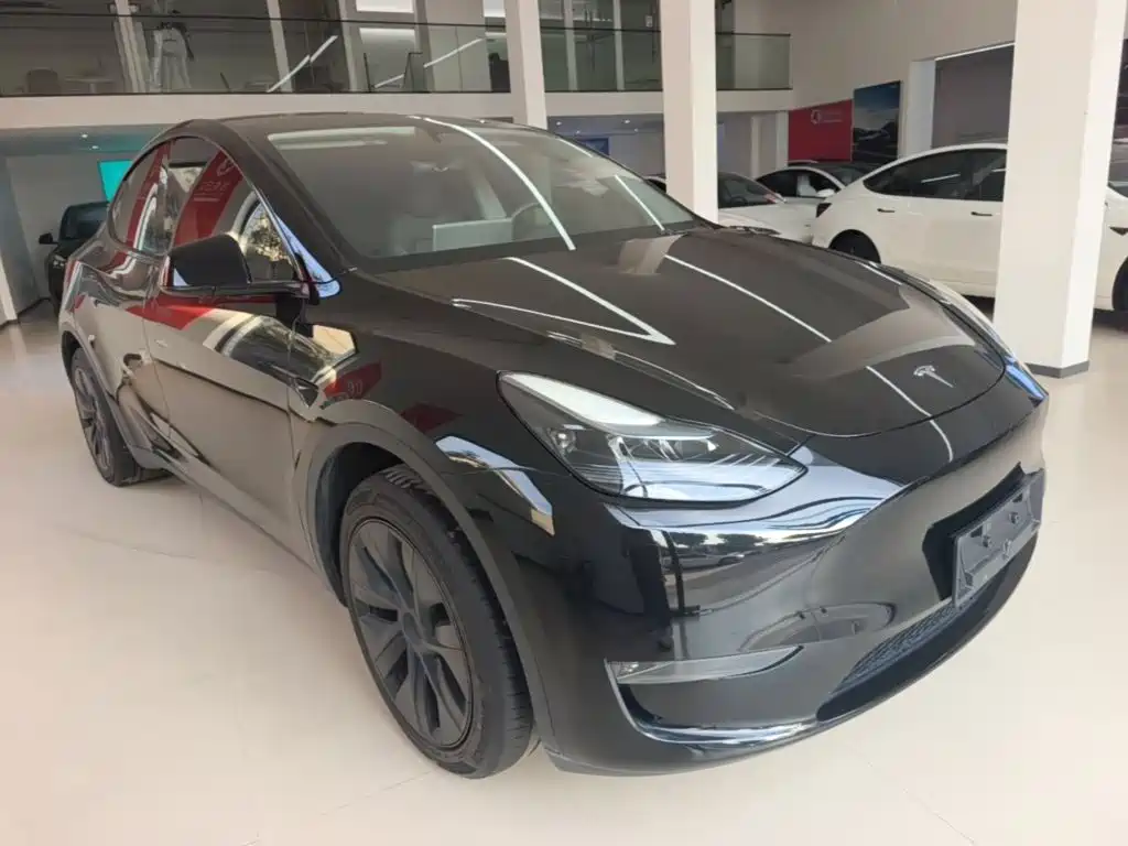 Tesla Model Y — миниатюра 4