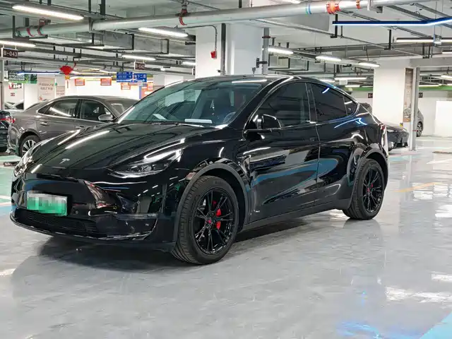 TESLA MODEL Y 2024
