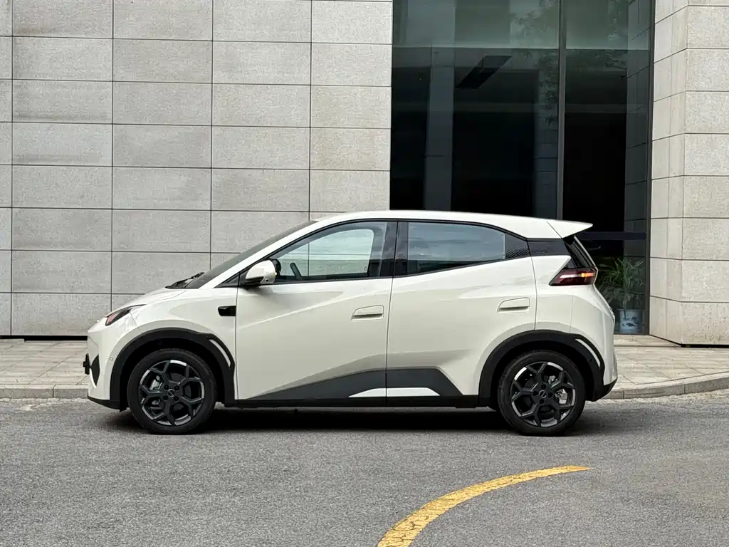 BYD Seagull 2025 Smart Drive 305km Freedom
