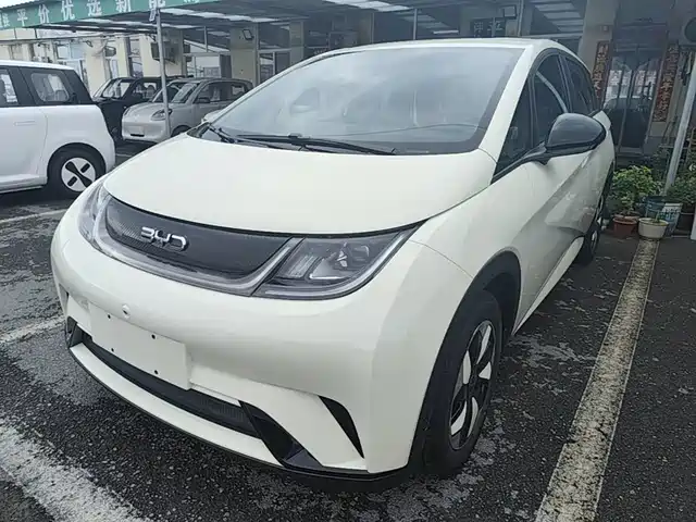 2026 BYD Dolphin
