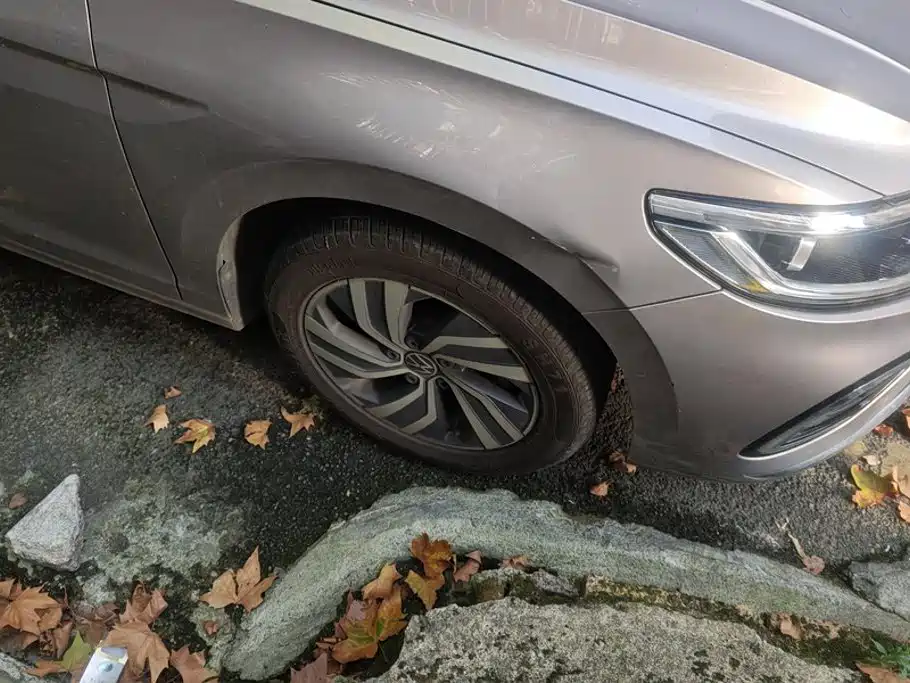 Volkswagen Bora — миниатюра 6