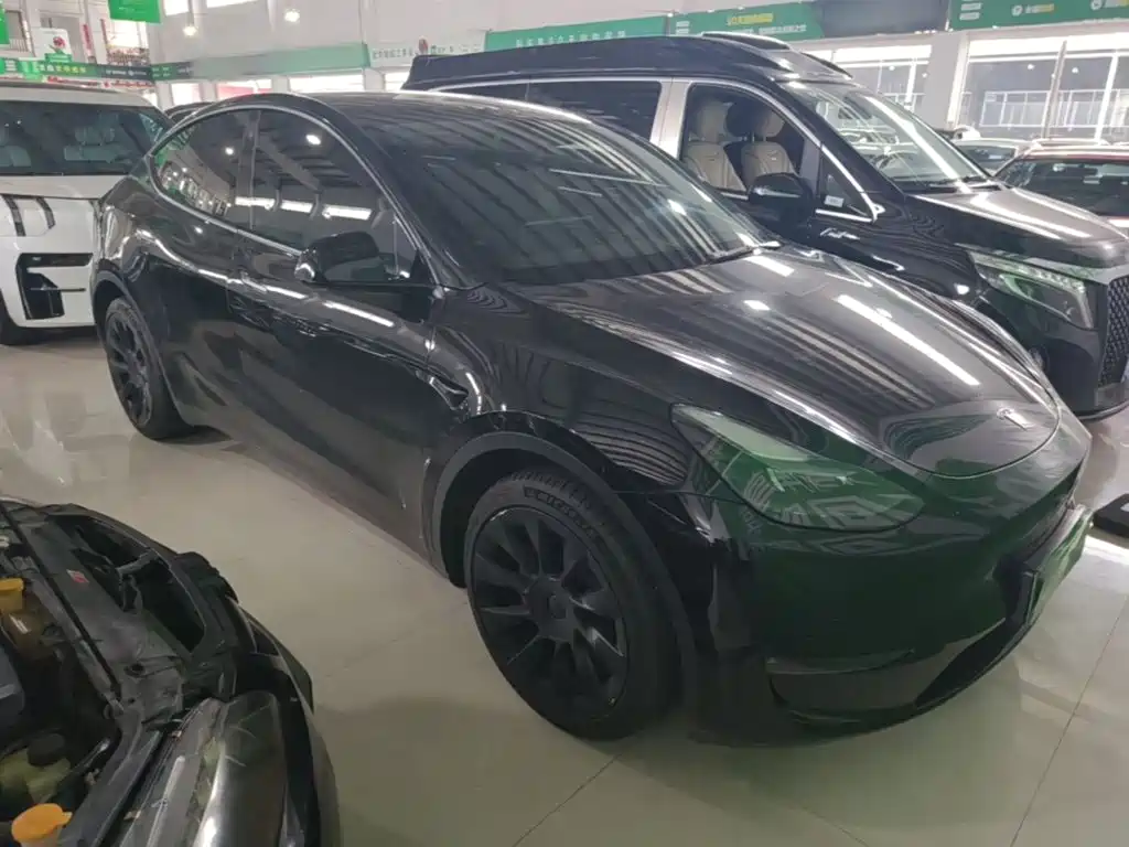 Tesla Model Y — миниатюра 4
