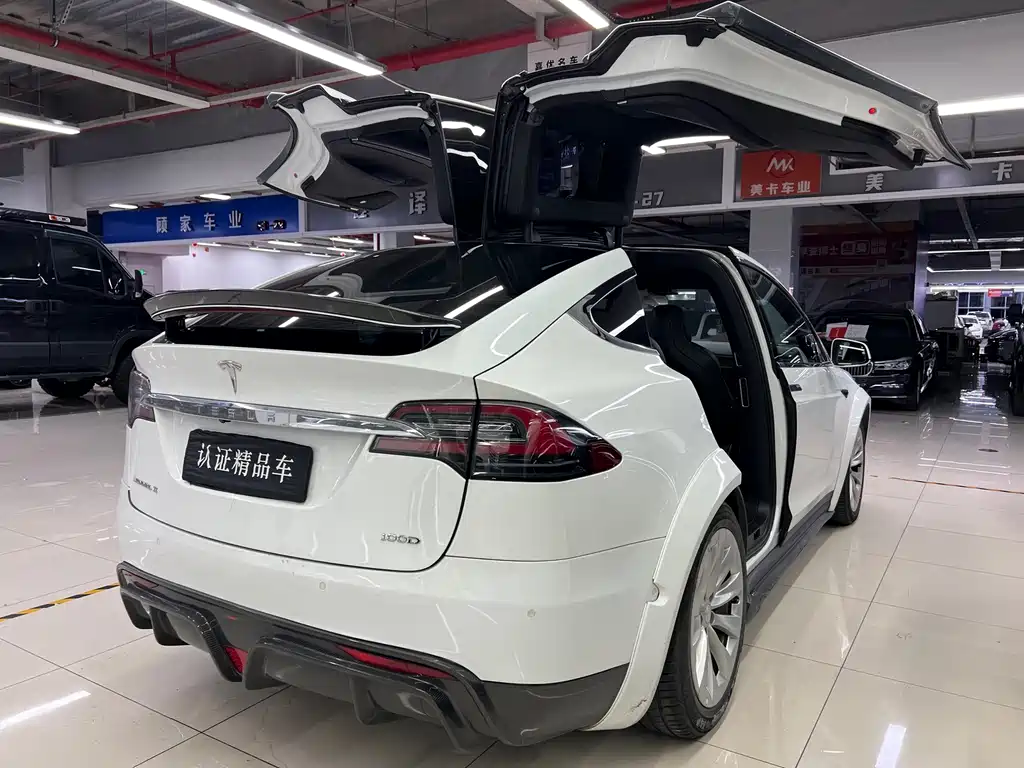 Tesla Model X — миниатюра 11