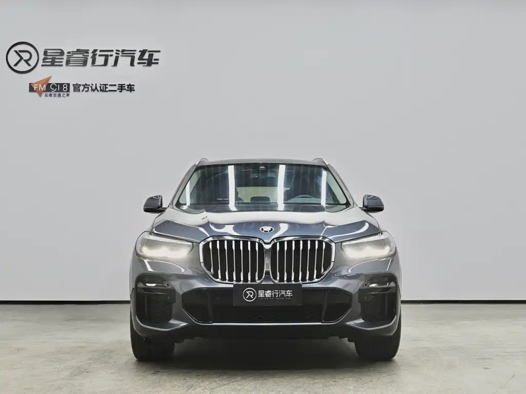BMW X5 (Import) — миниатюра 2