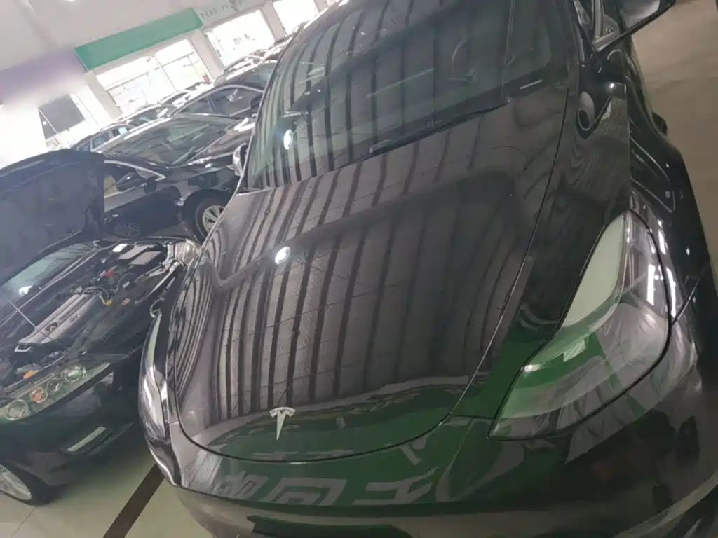 Tesla Model Y — миниатюра 3