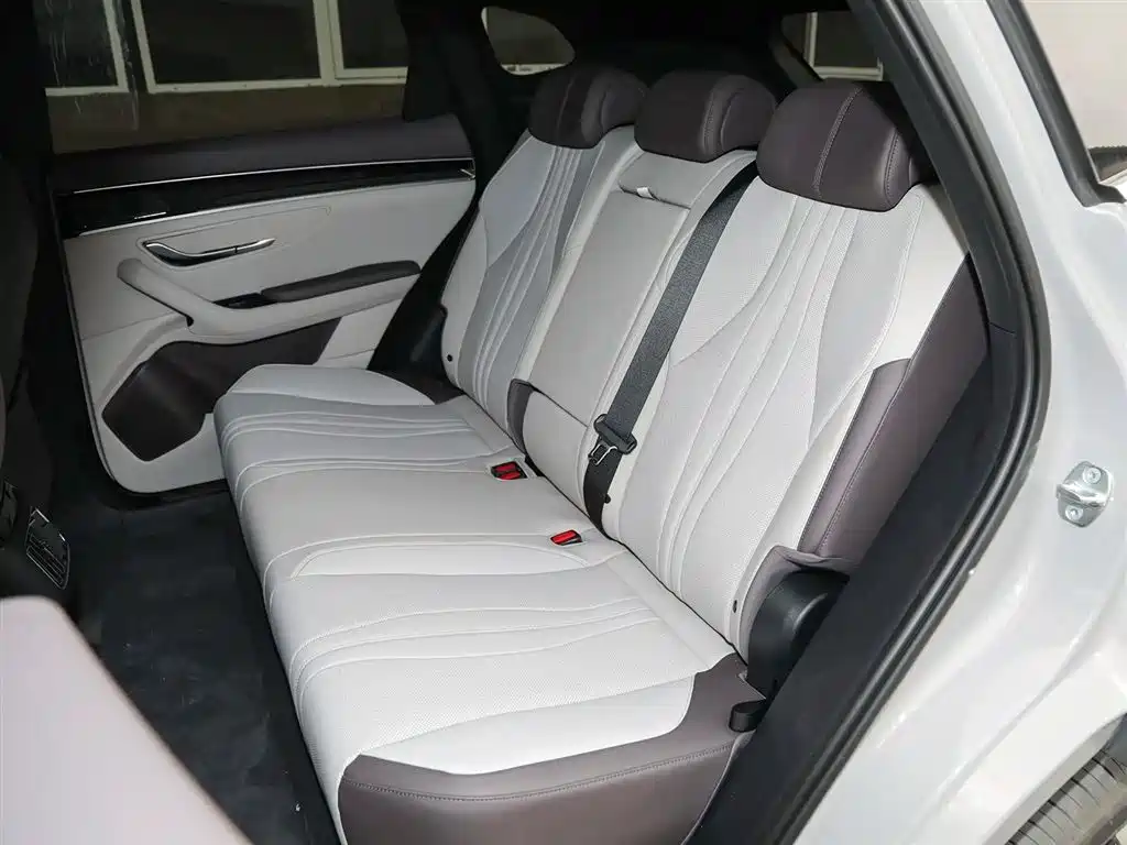 BYD SONGJIANG NEW ENERGY