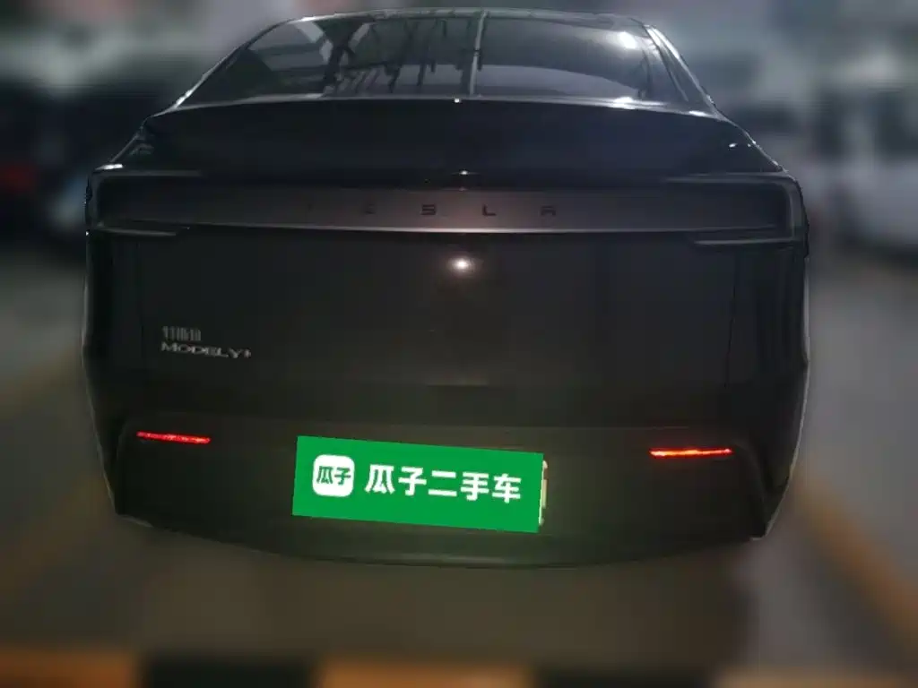 Tesla Model Y — миниатюра 3