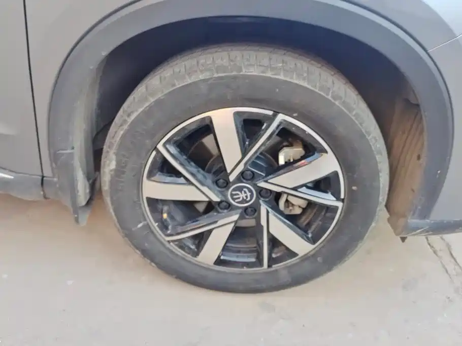BYD Pro New Energy — миниатюра 6