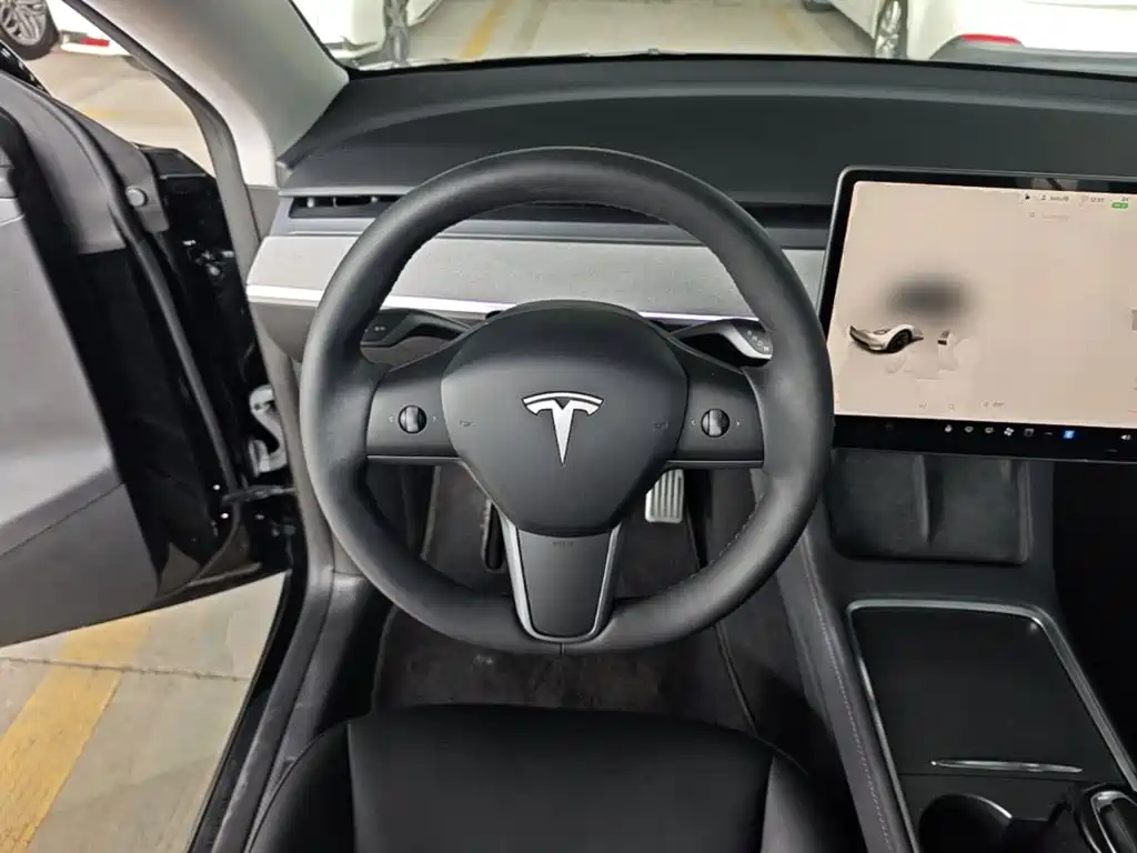 Tesla Model Y — миниатюра 11