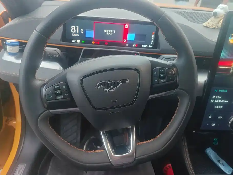 Ford Mustang Mach-E — миниатюра 15