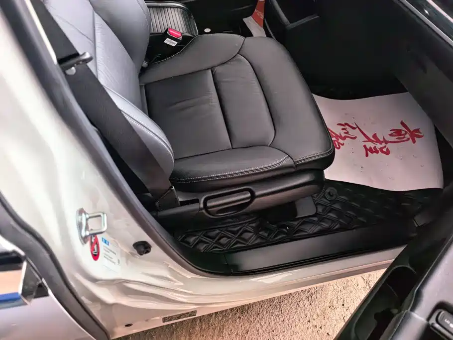 Honda Elysion — миниатюра 8
