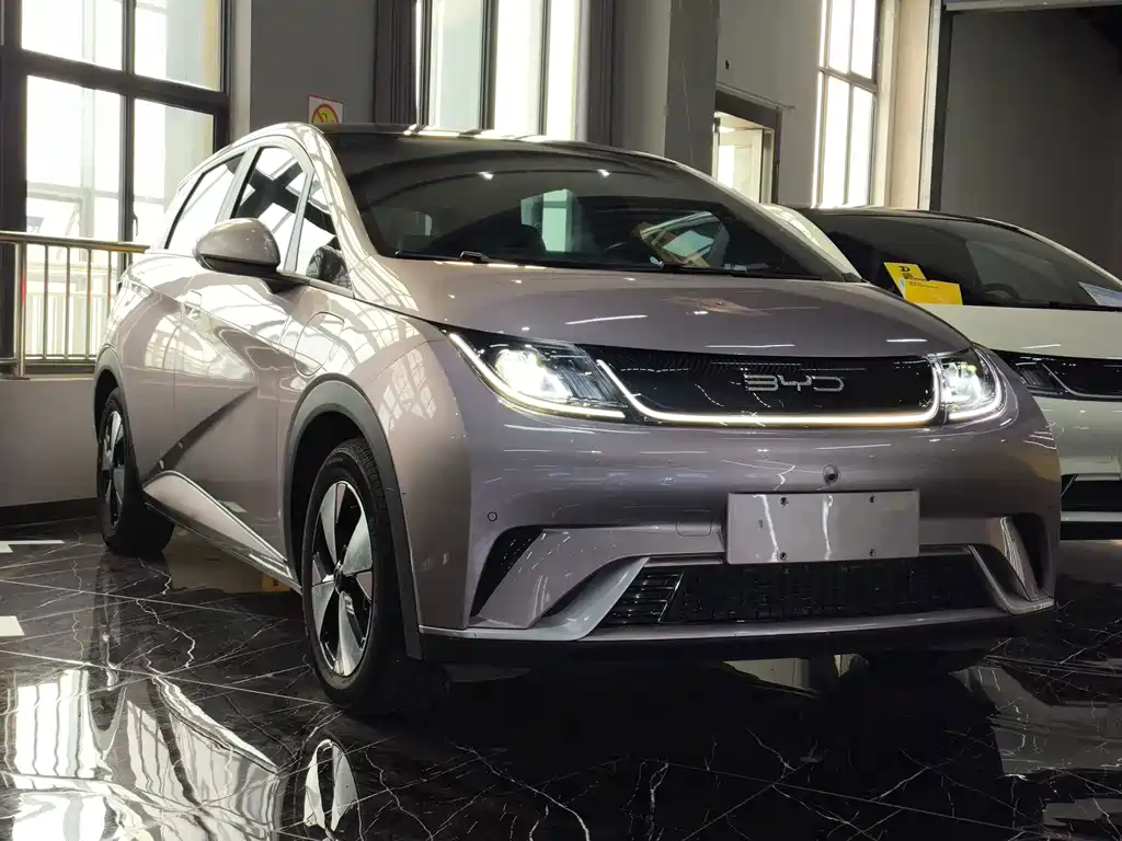 BYD Dolphin — миниатюра 3