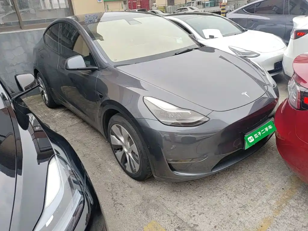 Tesla Model Y — миниатюра 4