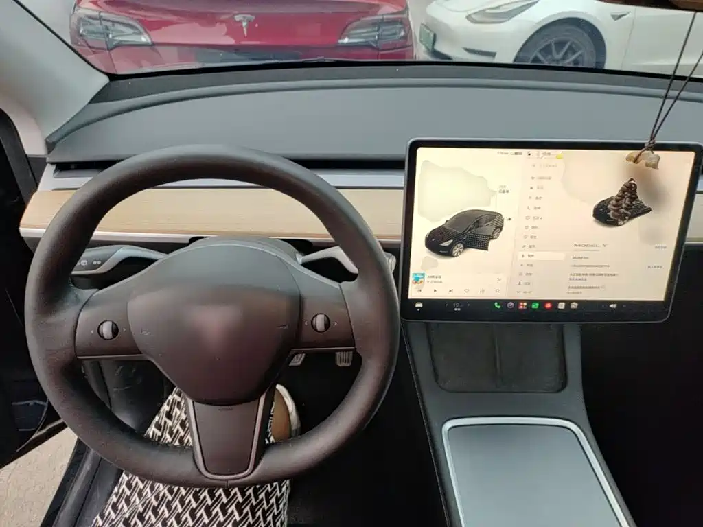 Tesla Model Y — миниатюра 10