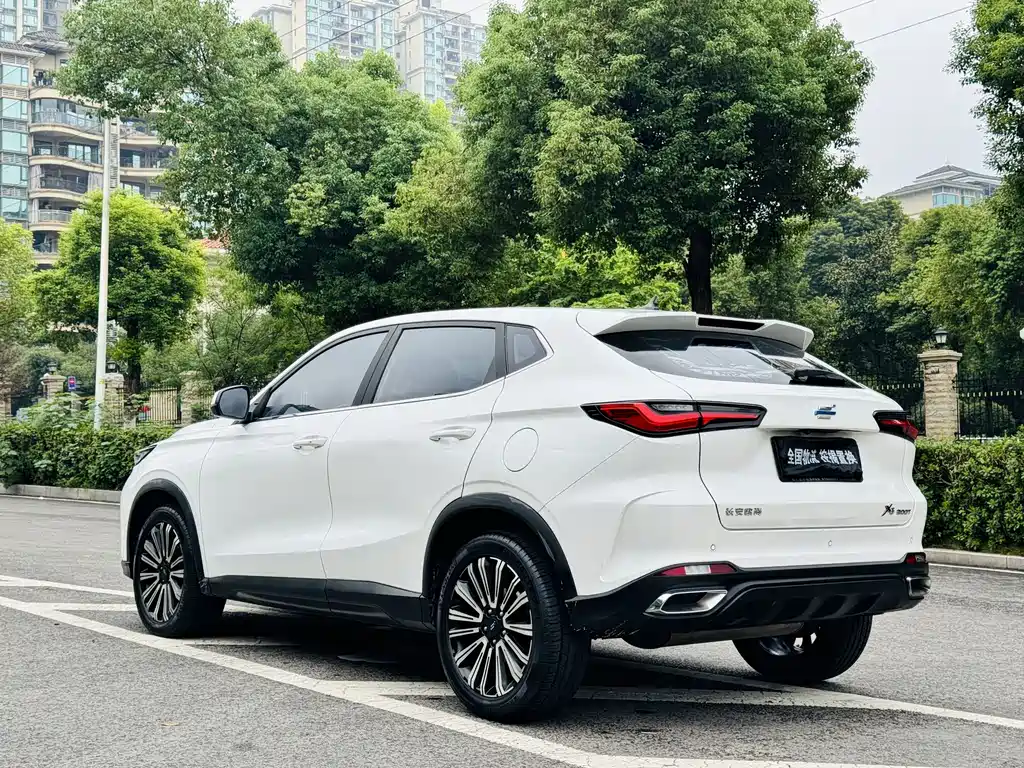 Oshan Oushang X5 — миниатюра 16