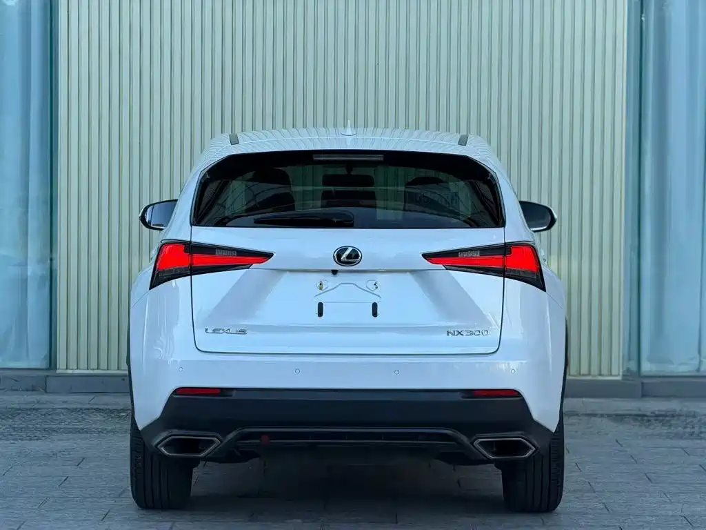 Lexus NX — миниатюра 5
