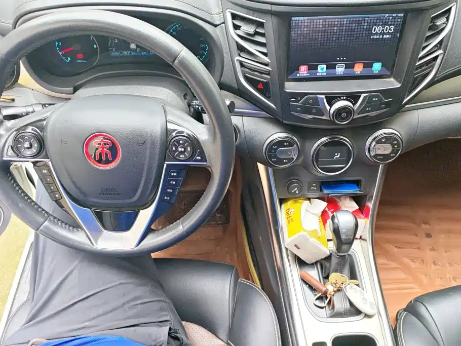 BYD Song — миниатюра 12
