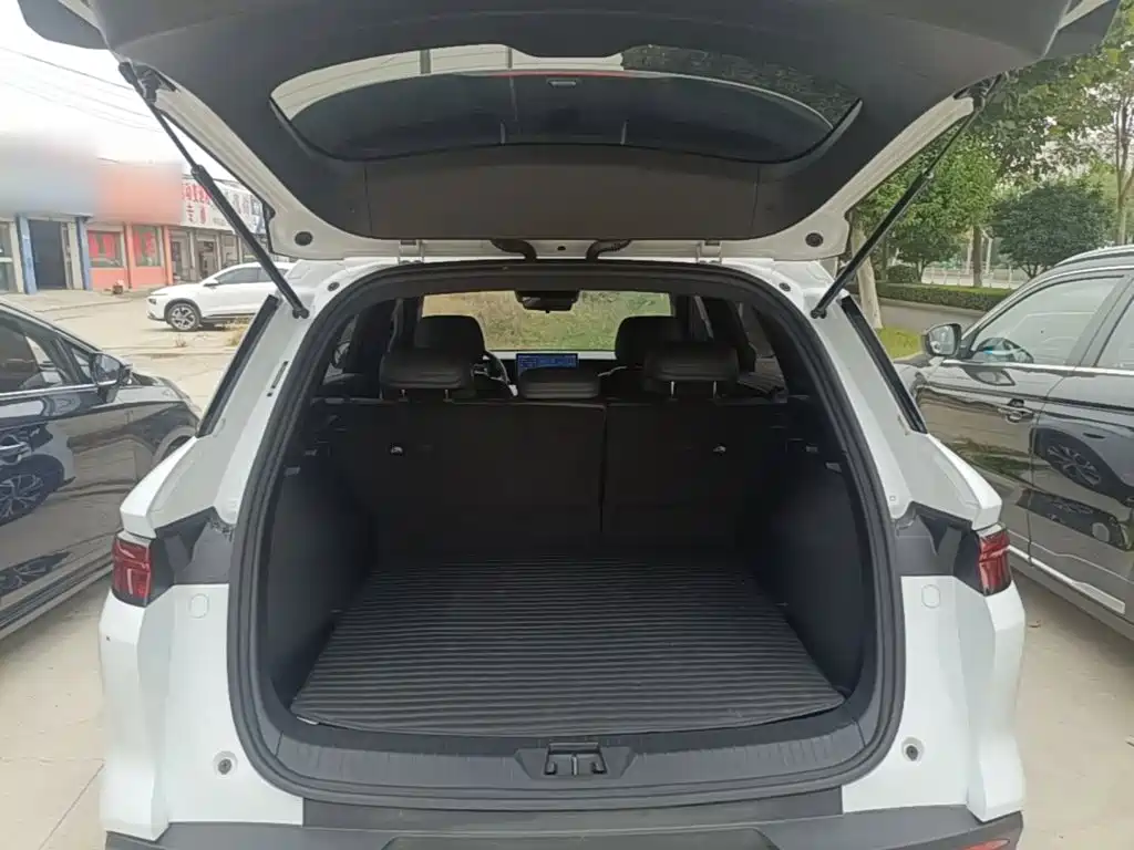 BYD Pro New Energy — миниатюра 19