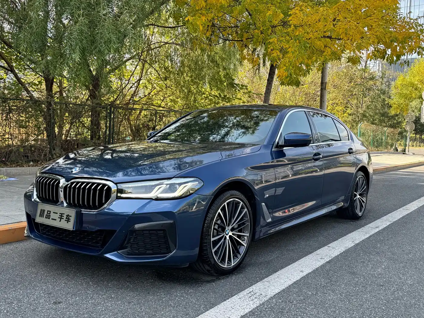 宝马5系 2021款 530Li 领先型 M运动套装 2021