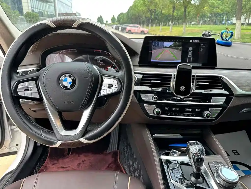 BMW 5 Series 5 2020 530Li Lead Luxury