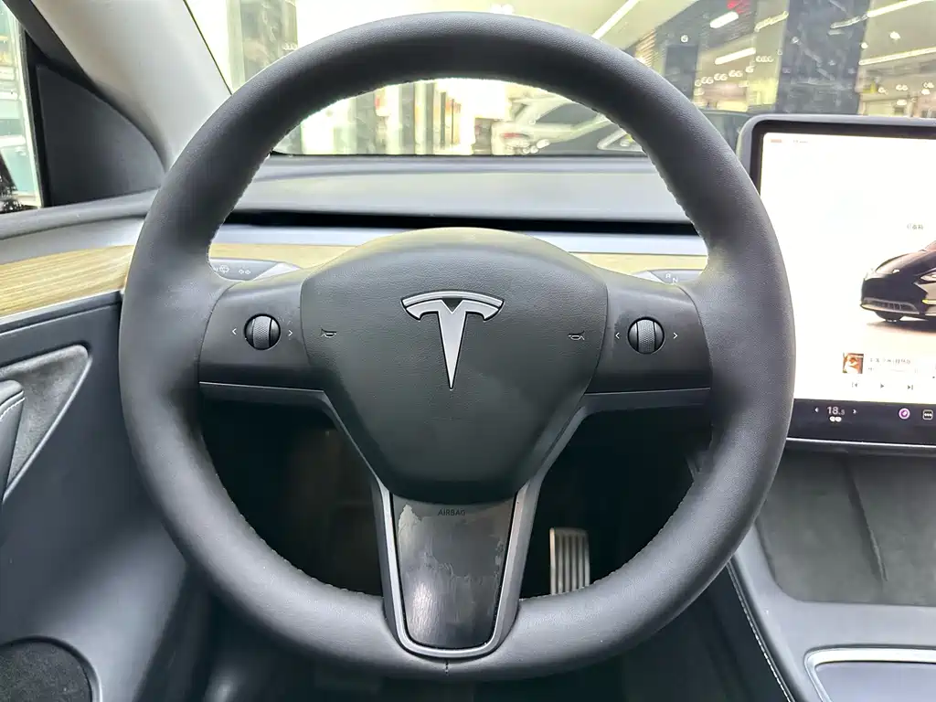 Tesla Model Y — миниатюра 10