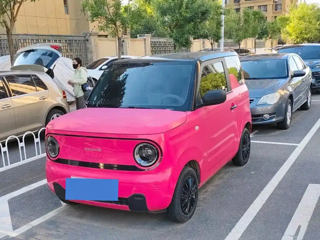 Galaxy Panda