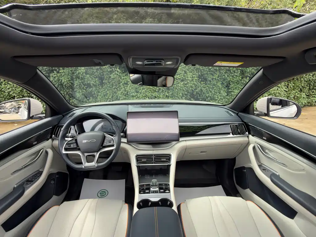 BYD SONGJIANG NEW ENERGY