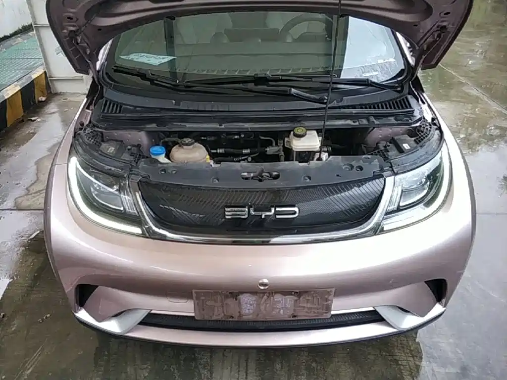 BYD Dolphin — миниатюра 20