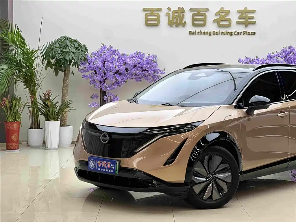 Nissan Ariya — миниатюра 2