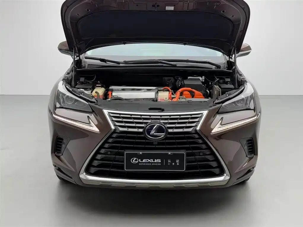 LEXUS  NX