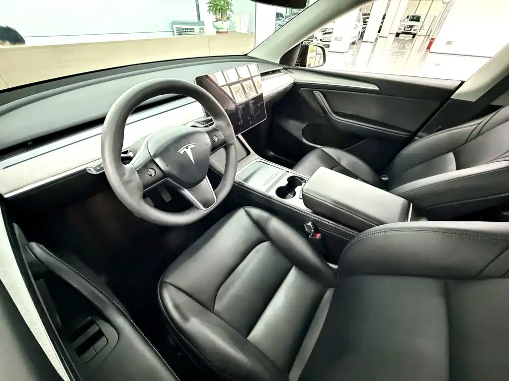 Tesla Model Y — миниатюра 11