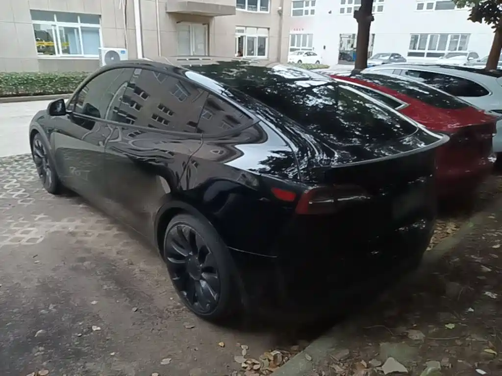 Tesla Model Y — миниатюра 5