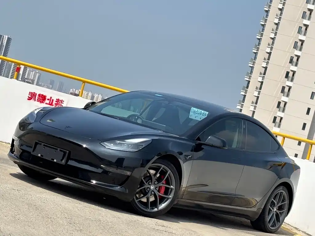 Tesla Model 3 2021