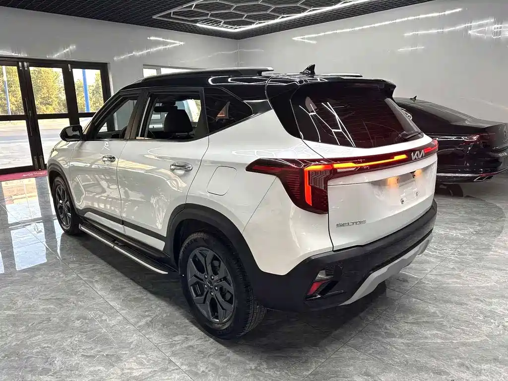 Kia Seltos — миниатюра 6