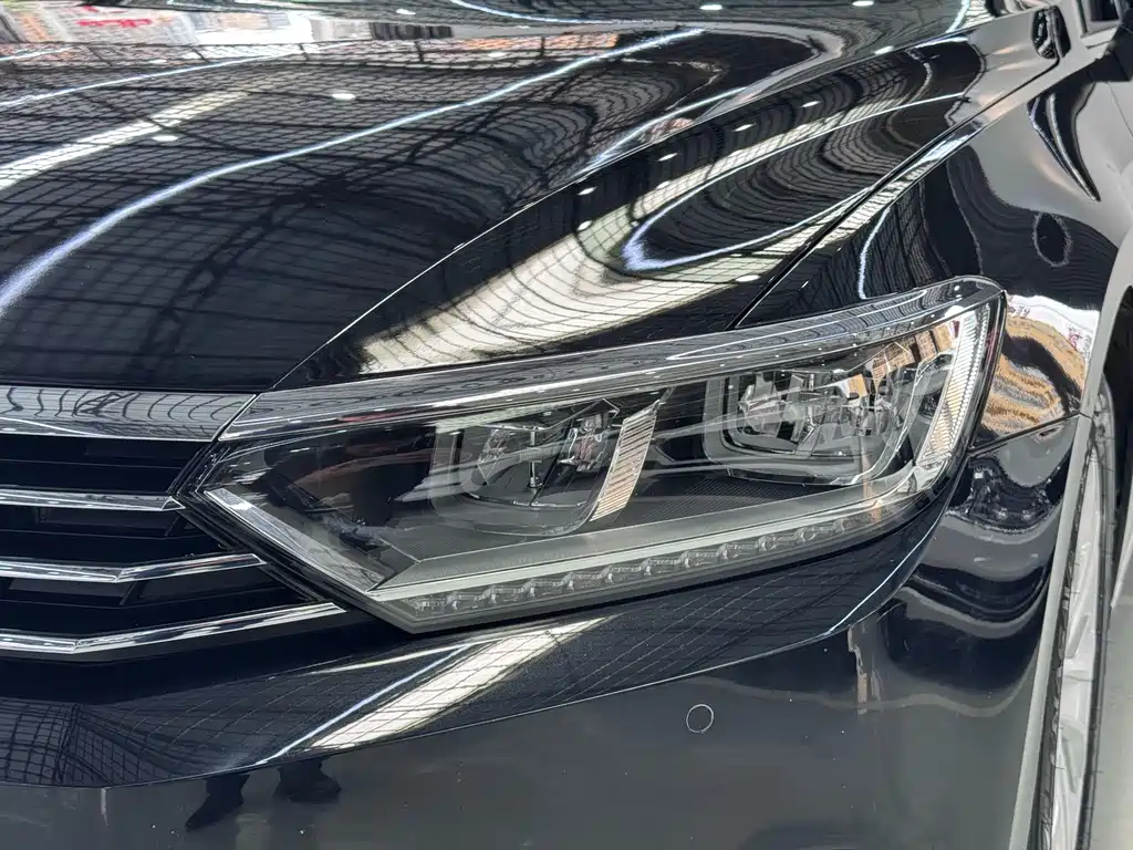 Volkswagen Magotan 2019 330TSI DSG Luxury VI