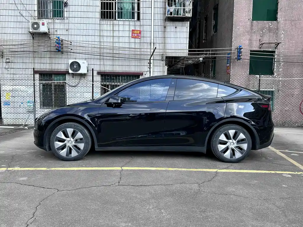 Tesla Model Y — миниатюра 5