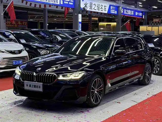 BMW 5 SERIES
