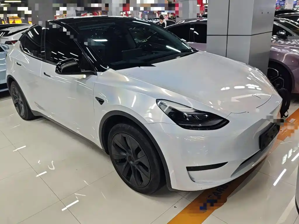 Tesla Model Y — миниатюра 4