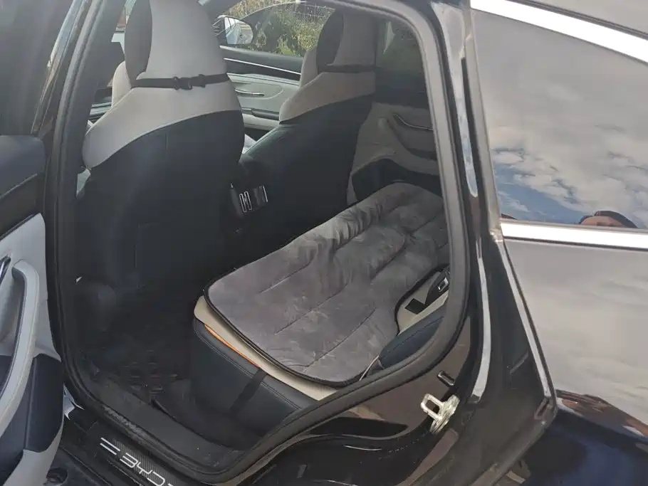 BYD PLUS New Energy — миниатюра 11