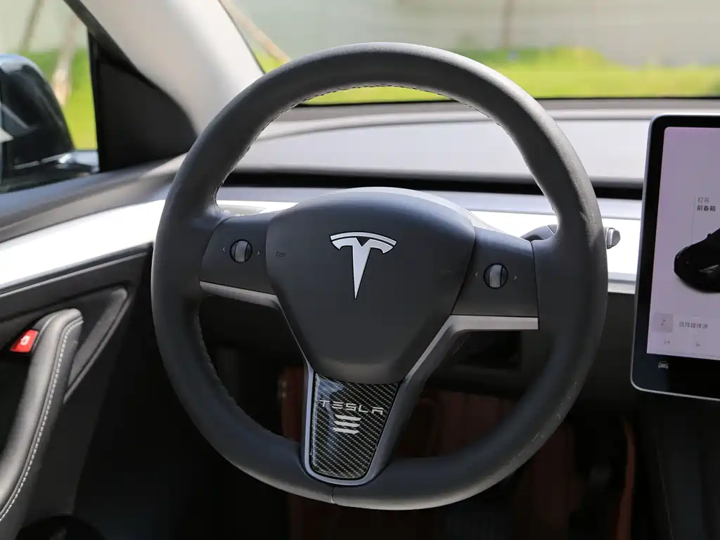 Tesla Model Y — миниатюра 5