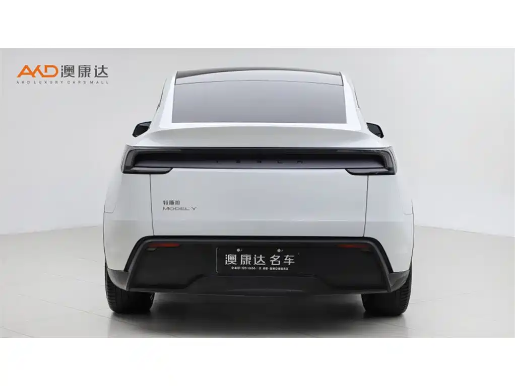 Tesla Model Y — миниатюра 4