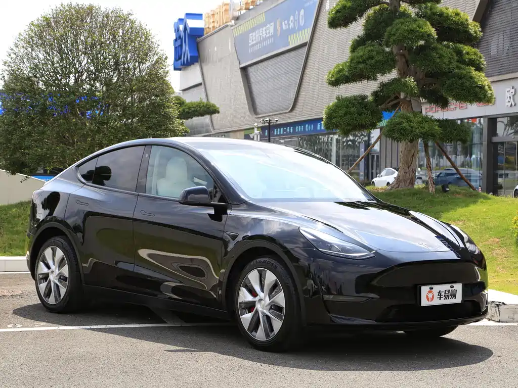 Tesla Model Y — миниатюра 3