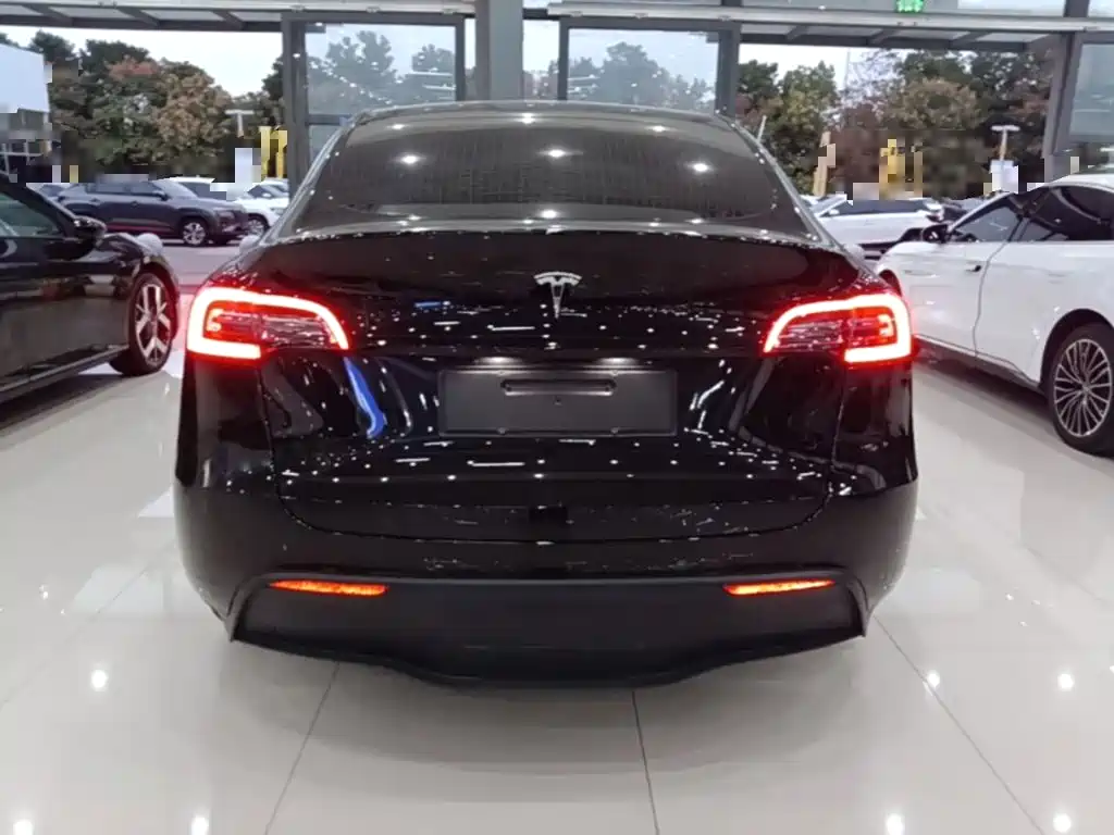 Tesla Model Y — миниатюра 6