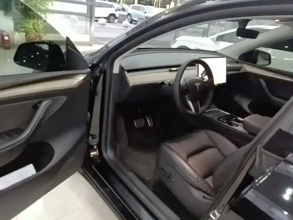 Tesla Model Y — миниатюра 16